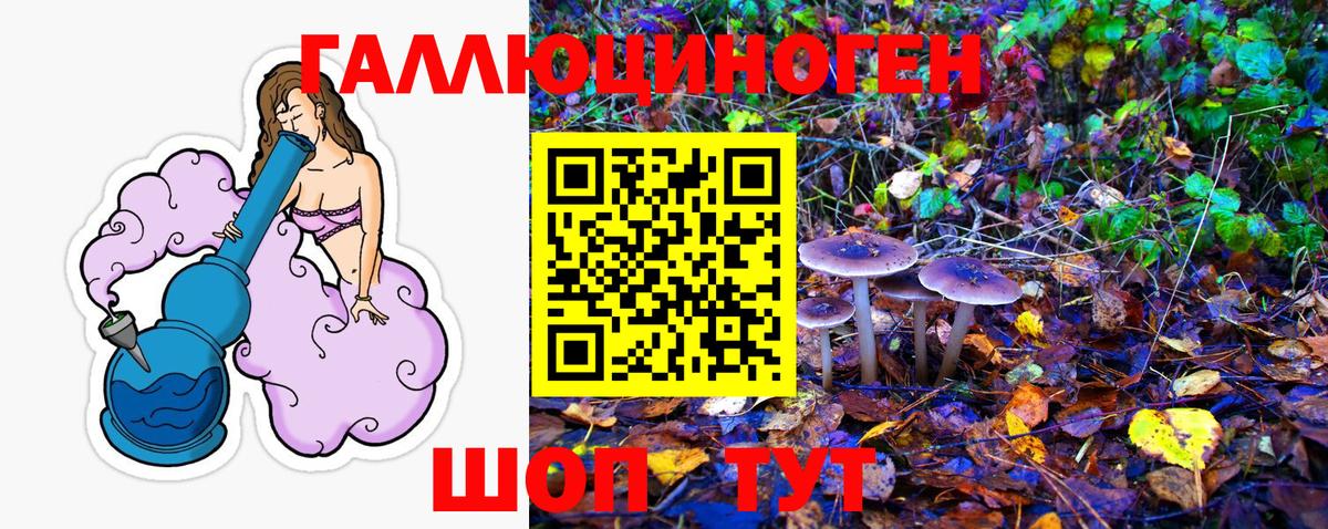 Псилоцибиновые грибы GOLDEN TEACHER Баксан